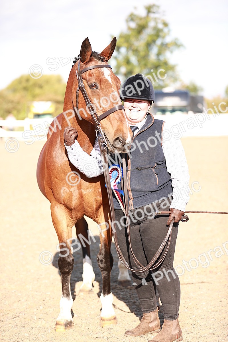 SBM_11224 - Class 401 - IH  Veteran horse