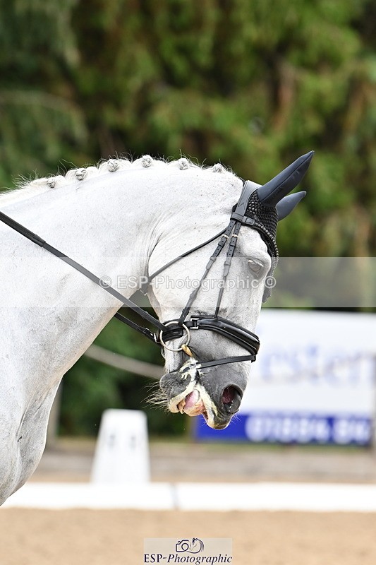 250808A-102243-00287 - 013-Stacey.Blunn-Diamond.Bobby