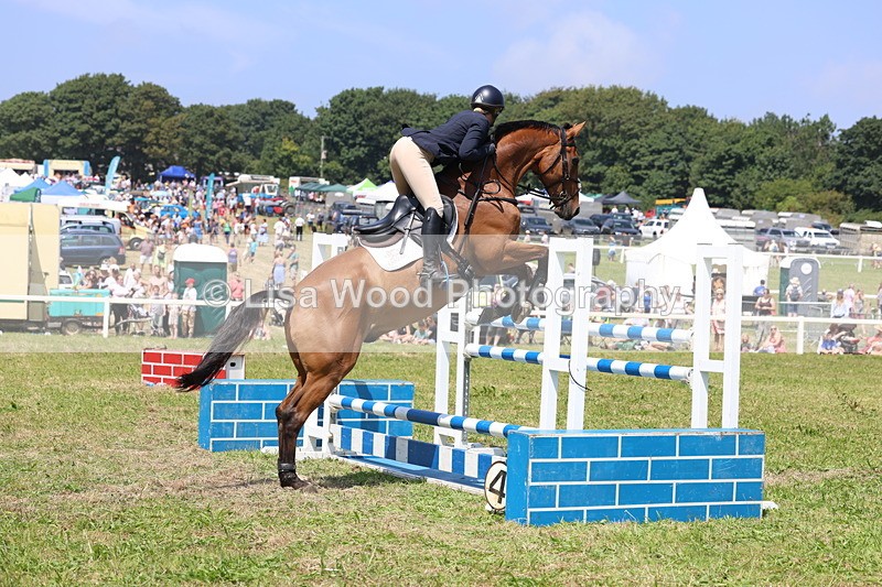 3E7A3333 - Class 10: Senior Foxhunter/1.20 open