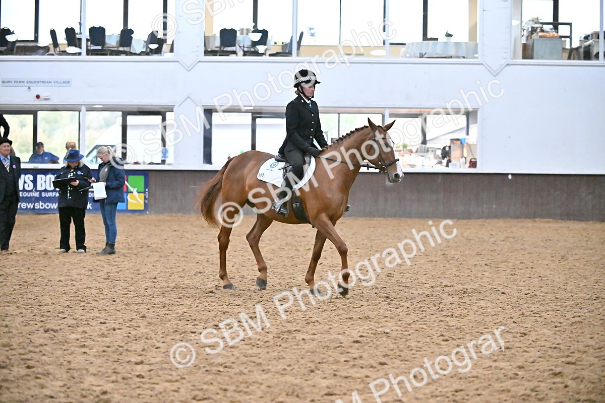 SBM_003008 - Class 37,38 - UKPSAF Performance Horse & Pony