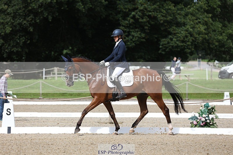 230812-104153-03310 - Cls 5 Novice Bronze Start to 10.55 break