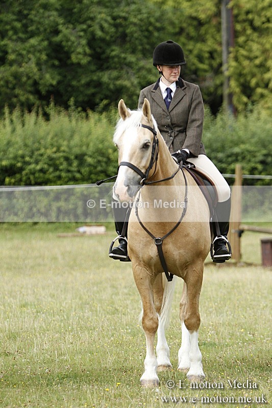 BVR160717-186 - Ring 3 BVRC Show 16/07/17