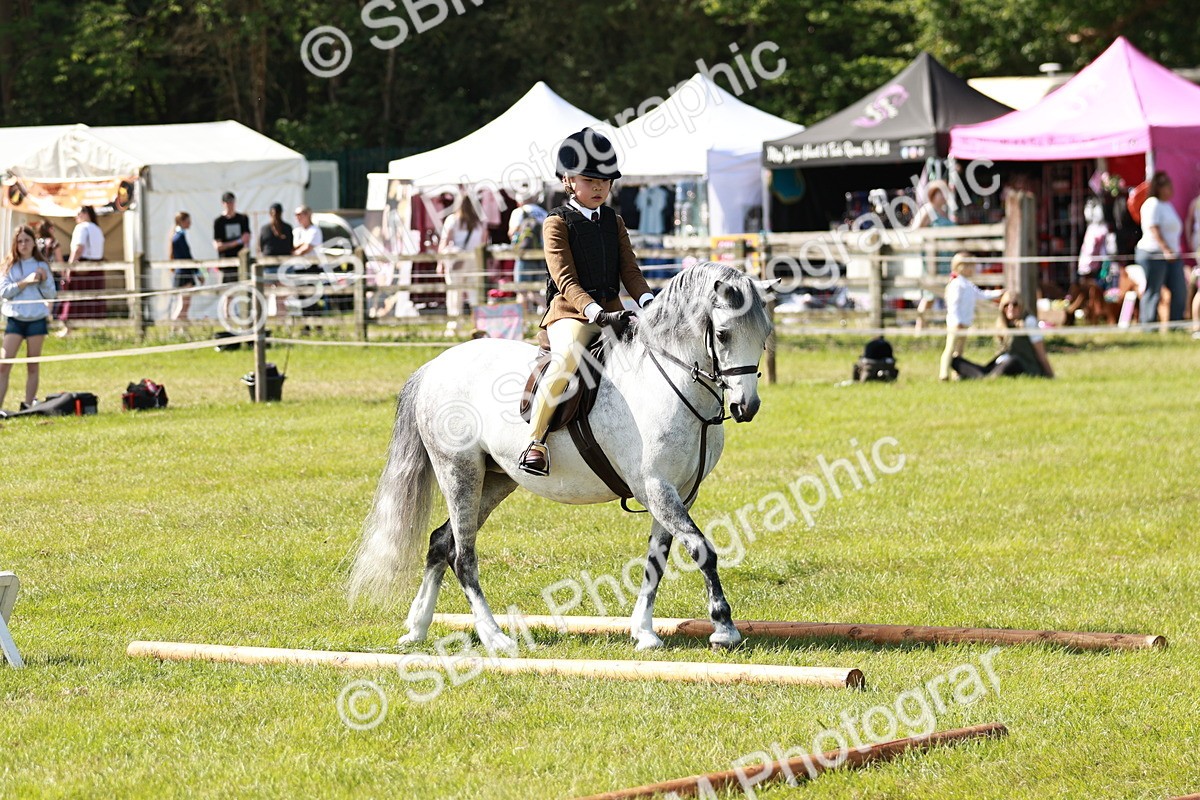 SBM_12709 - Class 106-107 - BSPS LIHS Working Sports Pony