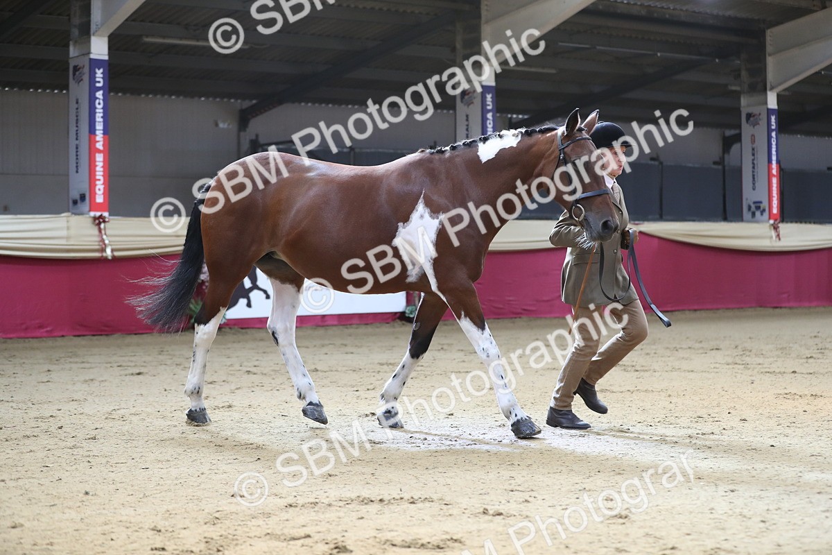 SBM_01310 - Class 3a Area IH Pre Vet