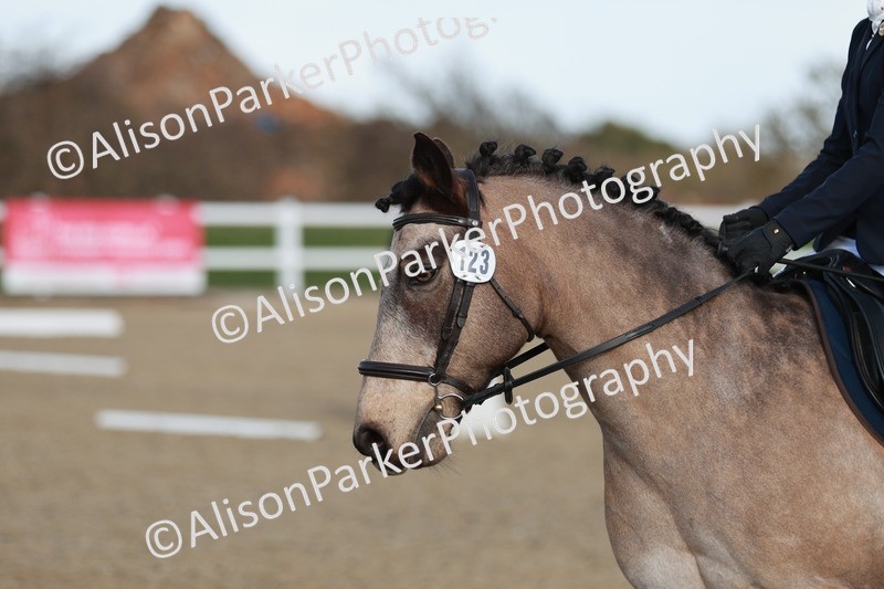 20260314-5371 - DR4 - Prelim 2