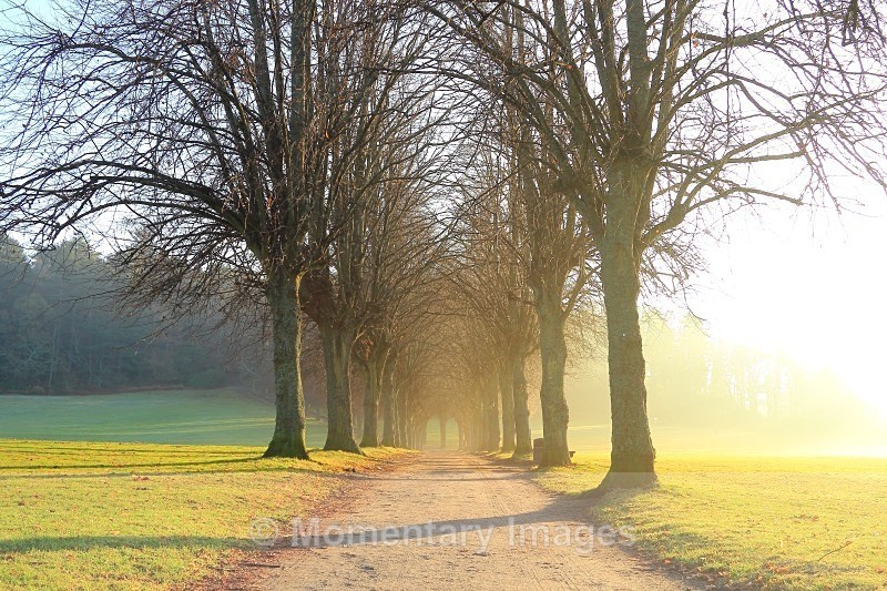 glorious blaze - Urban and Man-made gallery