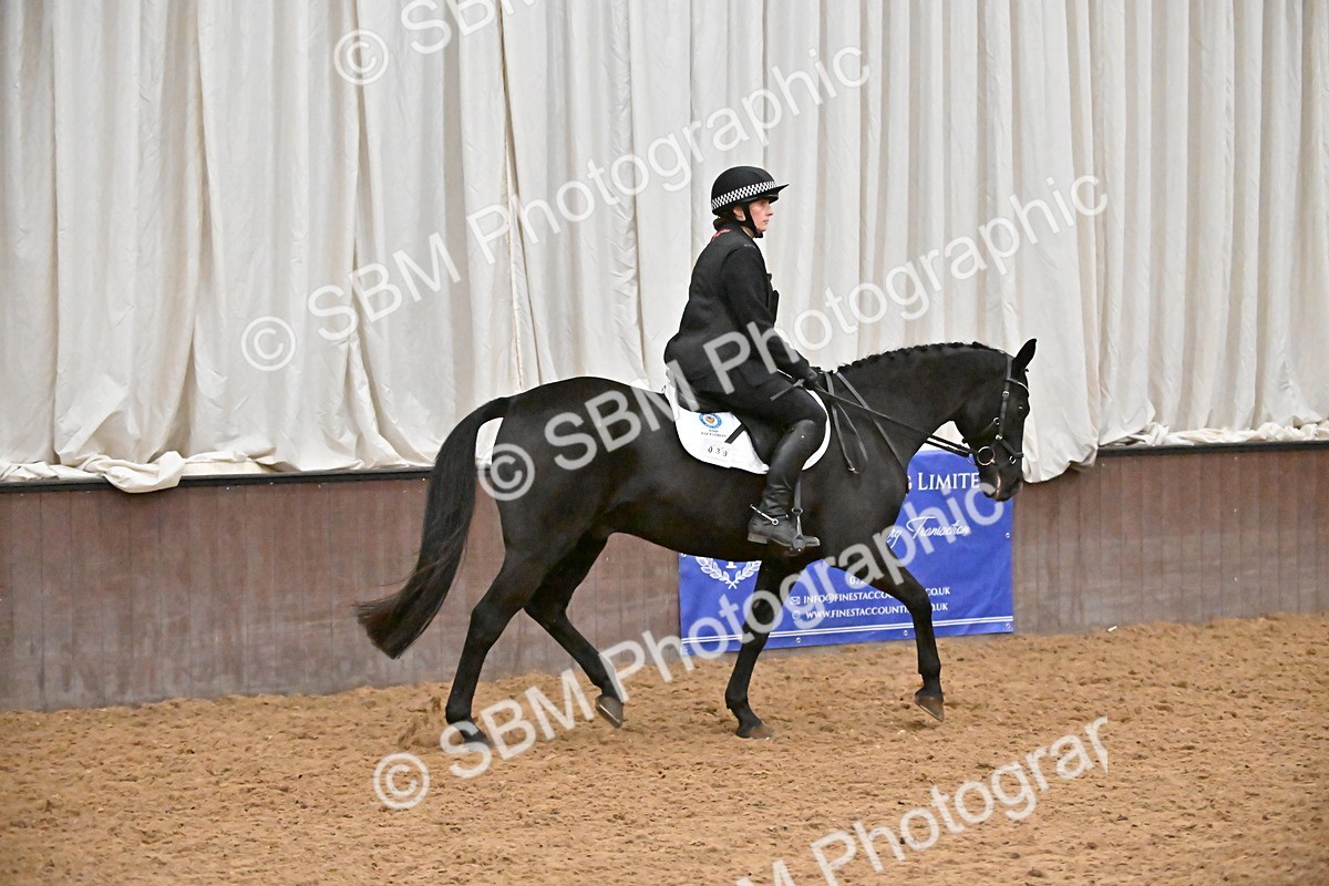 SBM_002977 - Class 37,38 - UKPSAF Performance Horse & Pony
