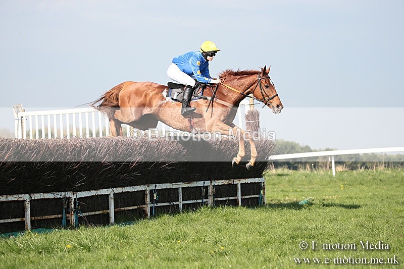 PtP 210418 501 - South & West Wilts Point-to-Point Larkhill 21/04/18