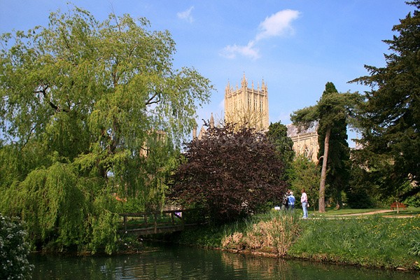 Wells _ S013 - Somerset landscape Photography