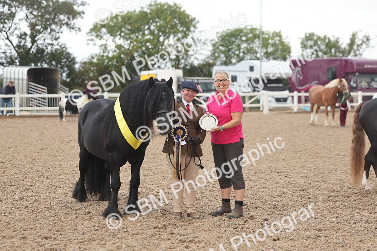 SBM_03292 - Class 16 - IH M&M Wildcard