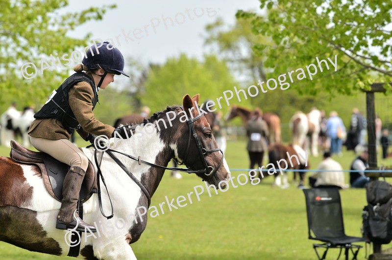 20260426-2406 - Class 21 - Working Hunter Ponies