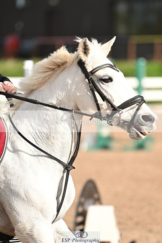 241026A-115424-00824 - SAT Cls 8 Pony Discovery and 90cm Open