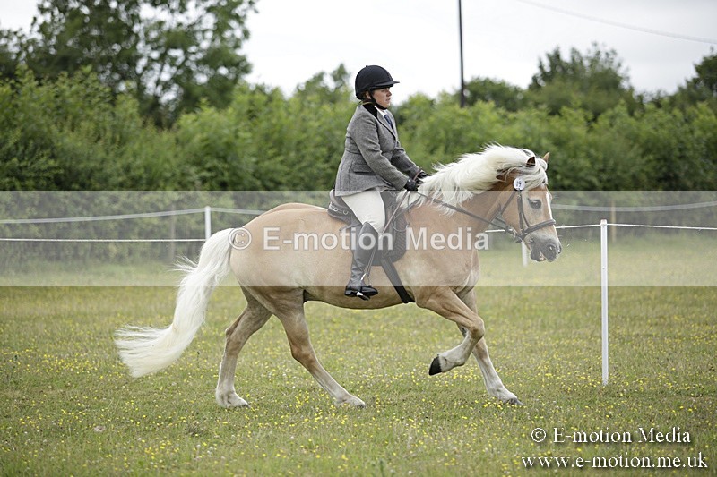 BVR160717-1515 - Ring 1 BVRC Show 16/07/17