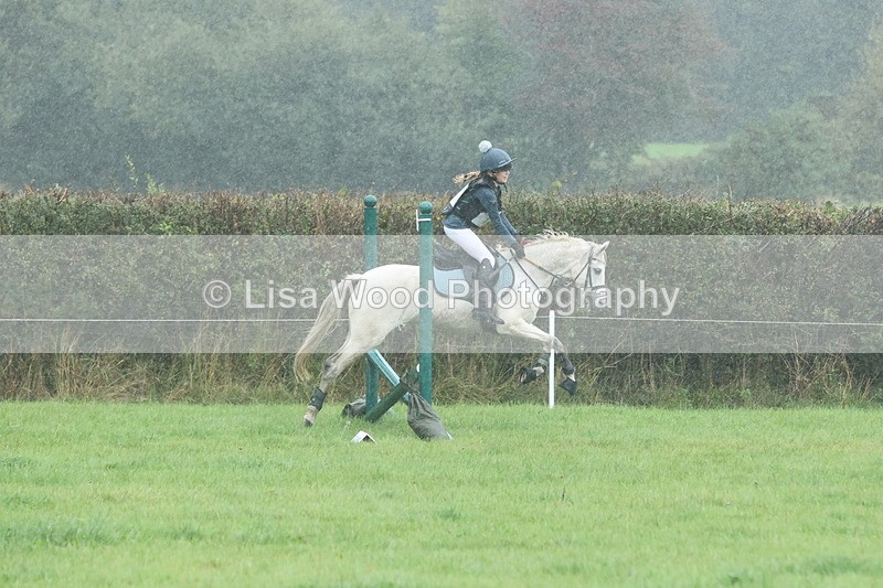 JPP_5033 - Class 1: 65cm : Showjumping