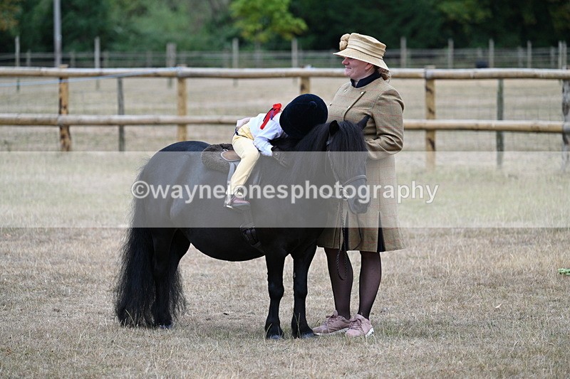 WJ7_8392 - Class 4 Prettiest Mare up to 14.2hh