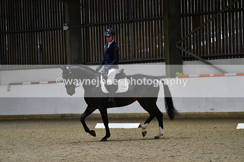 WJ5_8549 - Class 5 Novice Test 3