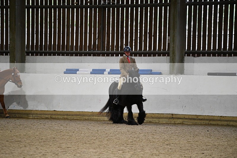 WJ5_8123 - Class 14 Novice Ridden/Rider
