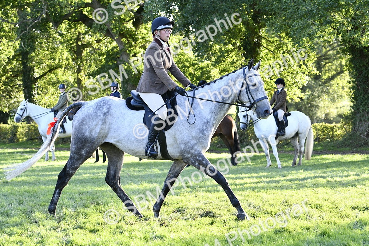SBM_53541 - S14 - Riding Club Horse