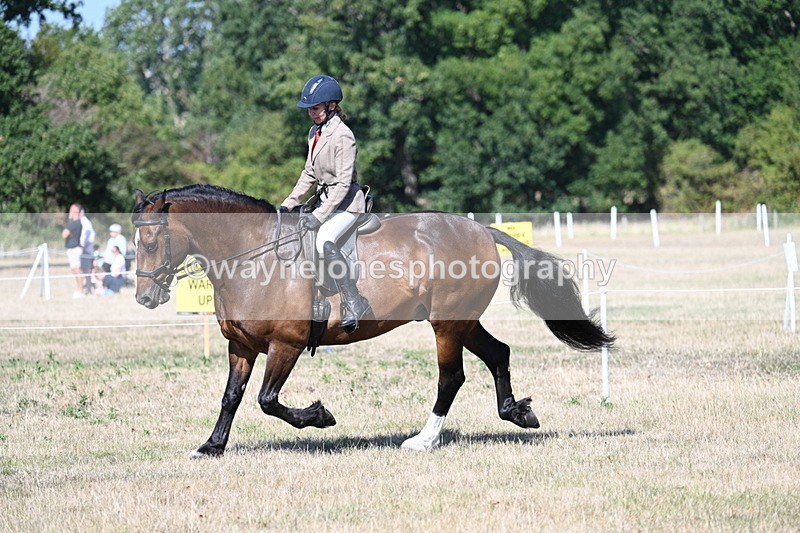 WJ7_3926 - Class 9 Mountain & Moorland Ridden