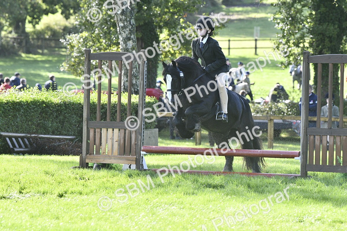 SBM_38162 - S31 - Novice & Newcomer Working Hunter Pony