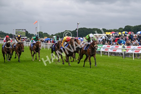 150624-Race 2-Tolstoy-6862 - Race 2 2.25pm Sky Bet Proud To Support Macmillan Handicap