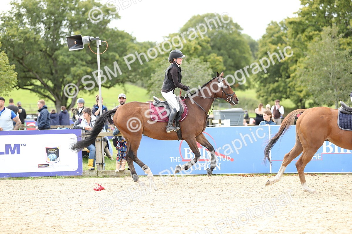 SBM_40983 - Supreme Championship 50cm 60cm