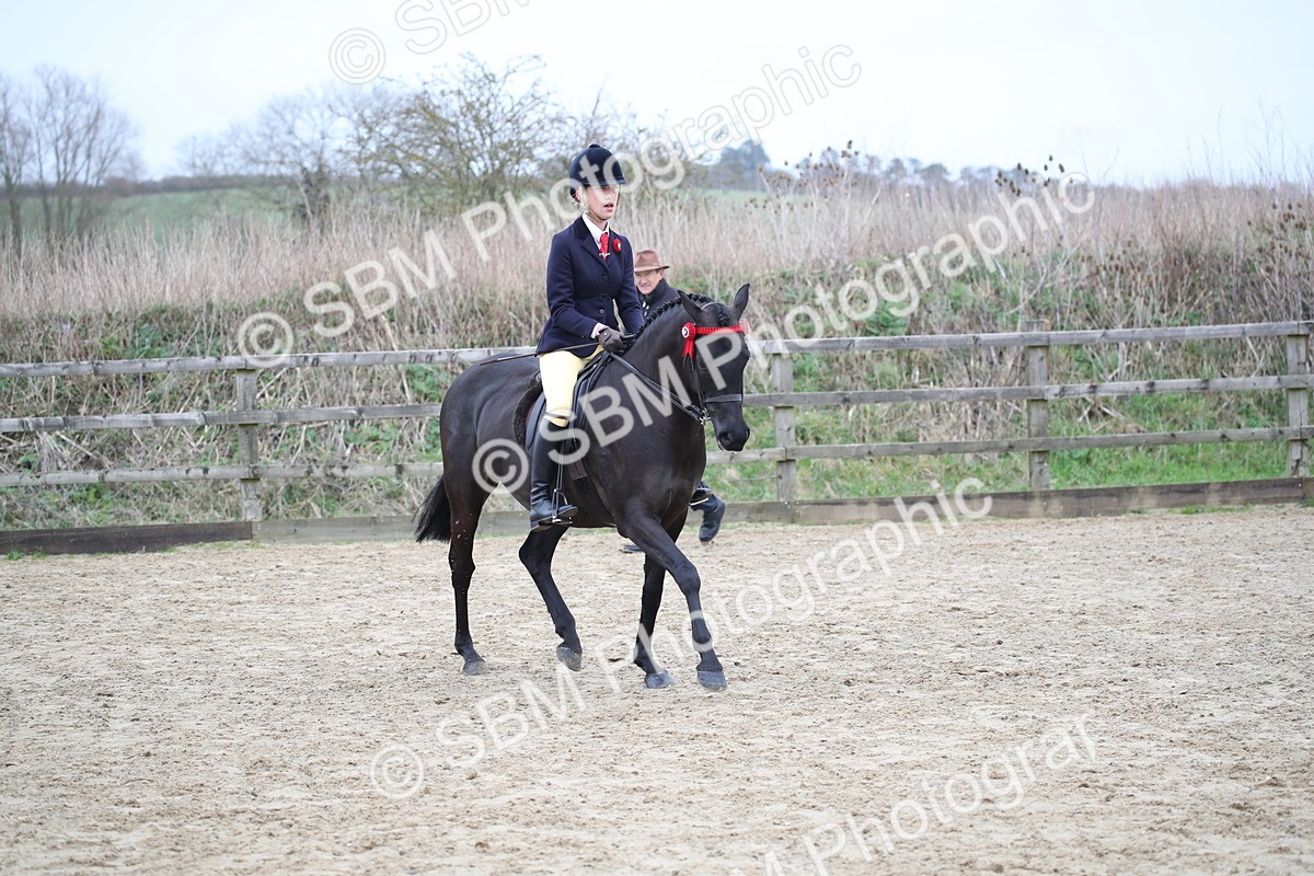 SBM_004712 - Class 5-9 - NPS In Hand-Show Hunter-Intermediate Ridden Inc Ridden Championship