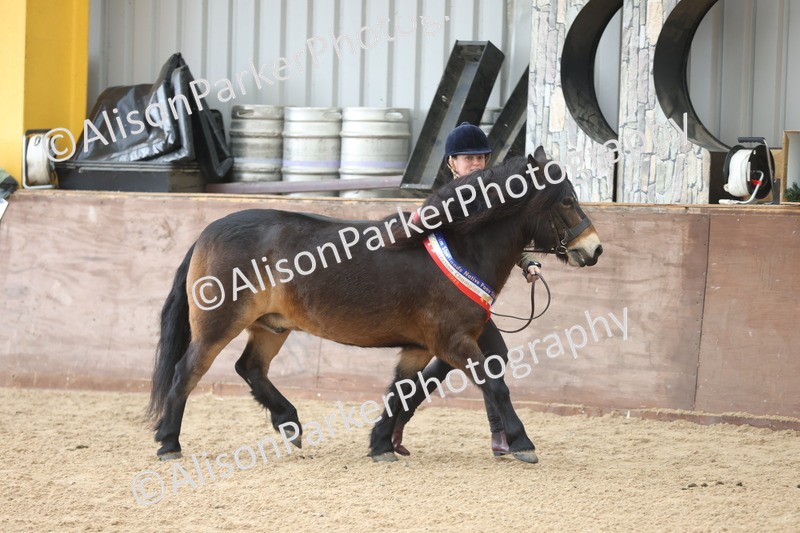 20251109-0707 - Championship