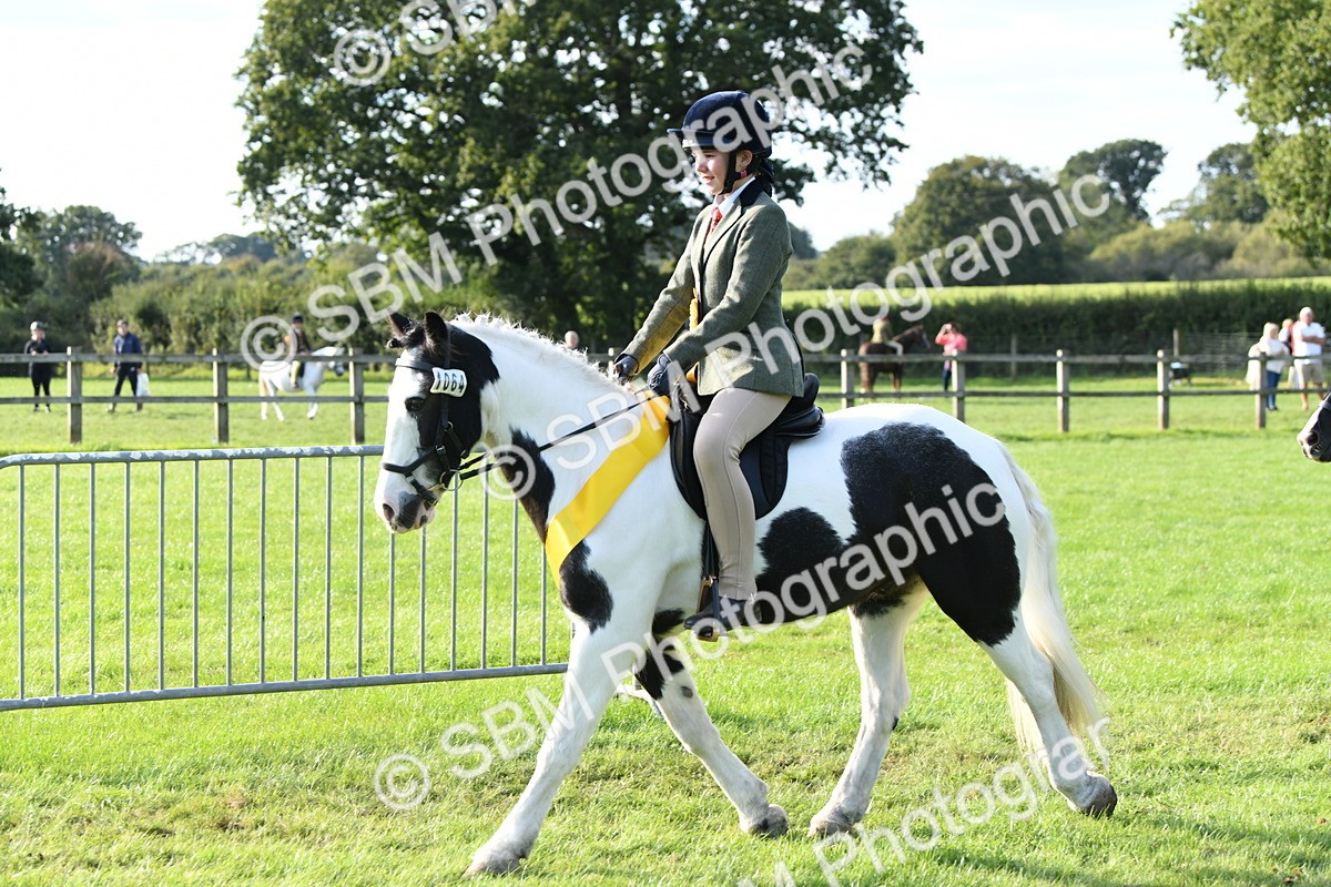 SBM_52077 - S21 - Novice & Newcomers 1st Ridden Pony