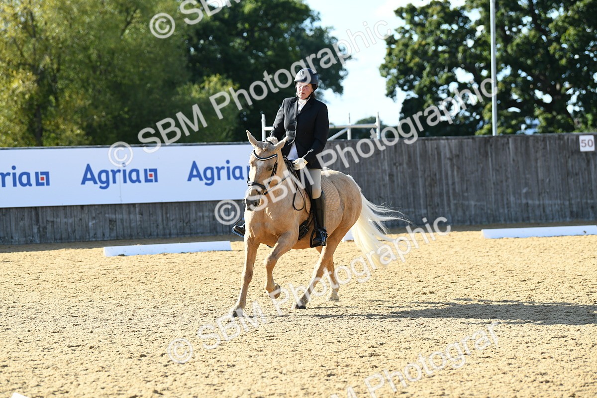 SBM_27250 - D16 - Small Tour Championship - Novice 28