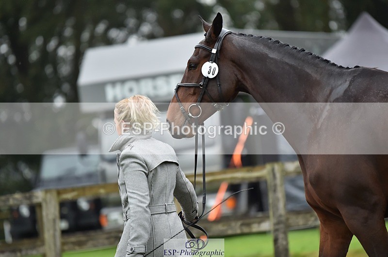 231018-122140-00238 - 030-MONBEG.SHELBY-Kat.Raybould-TrotUp