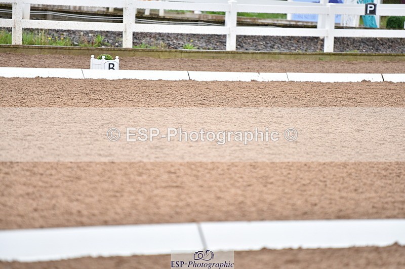 230511A-121603-00531 - BD Cls 7 Elementary 43