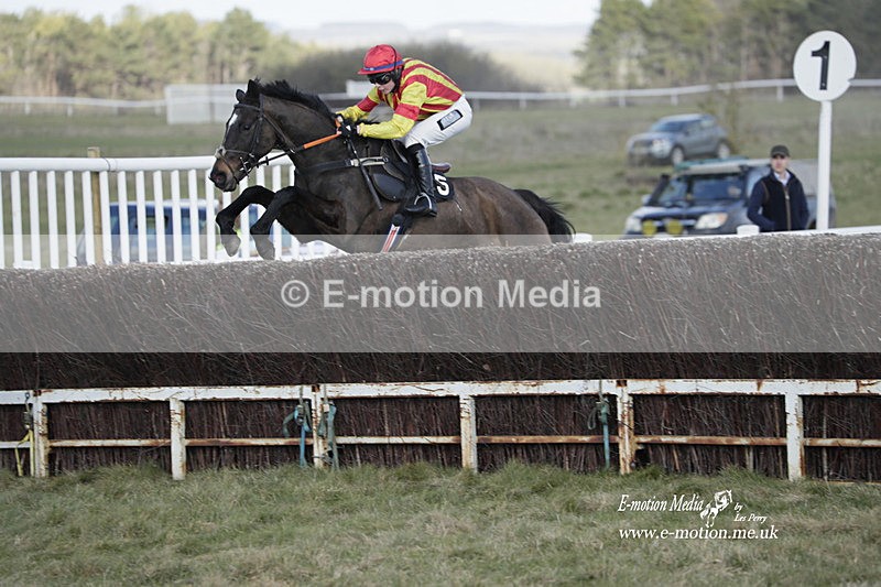 PtP 260223 735 - South & West Wilts Point-to-Point Larkhill 26/02/23
