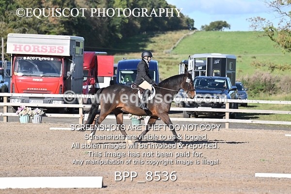 BPP_8536 - SHORT ARENA INTRO 1