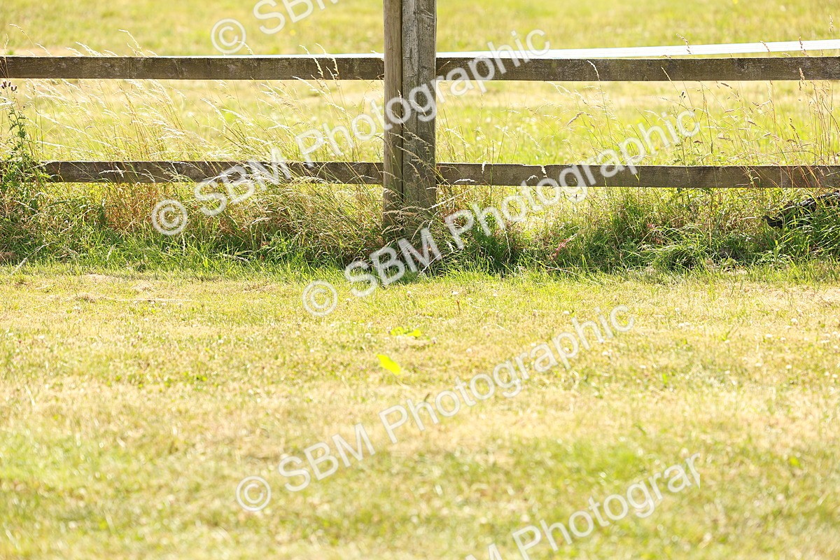 SBM_002927 - Class 14-15 - GFS Senior Newcomers - 1.10m - Senior 1.15m Open
