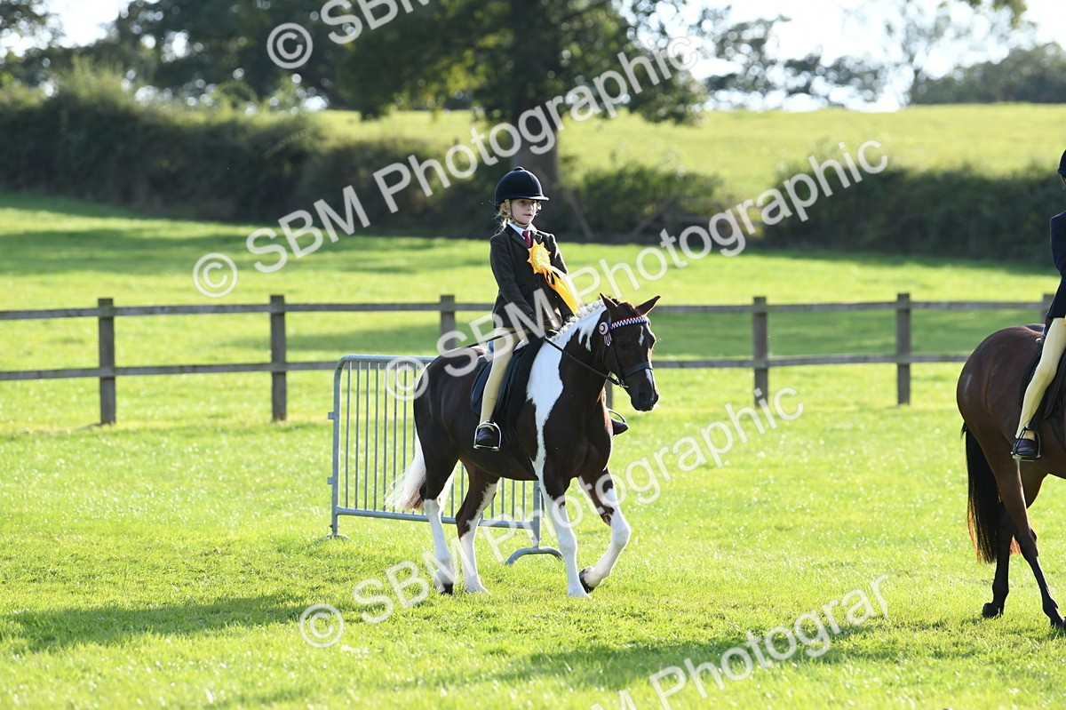 SBM_52461 - S22 - 1st Ridden Show & Show Hunter Pony