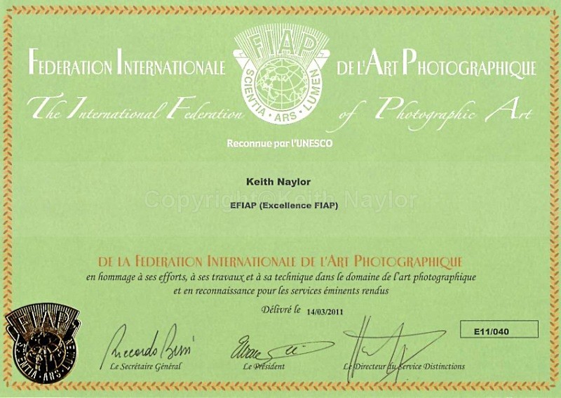 EFIAP Award - Awards