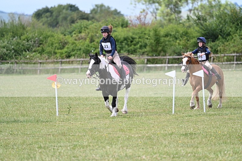 WJ7_5681 - 80cm XC Pairs