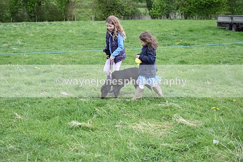 WJ6_8102 - Class 2 Best Pedigree