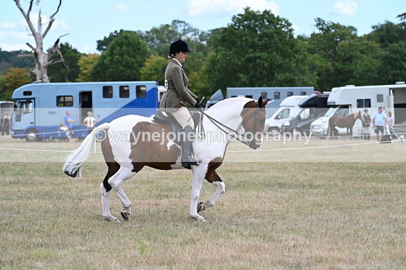 WJ7_4890 - Class 12 Ridden Cob