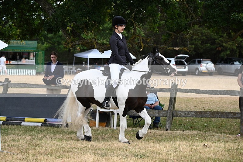 WJ6_3905 - Class 9 Tack & Turnout