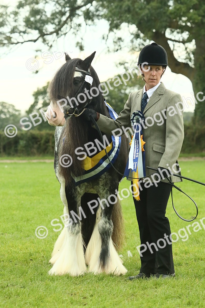 SBM_75179 - Super Supreme Championship