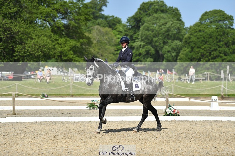 230525-102100-01687 - 311-BALLYCOSKERRY_REGAL_DIAMOND-Hollie_Swain-WEDTrotUp+DR