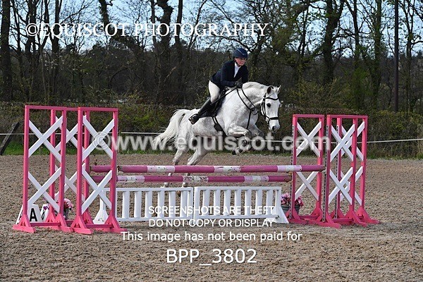 BPP_3802 - CLASS 3 FRI Senior British Novice/ 90cm Open