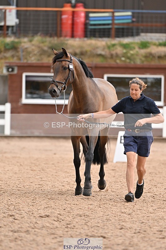 250716-145325-01477 - Trot Up 2.30 to 3.30