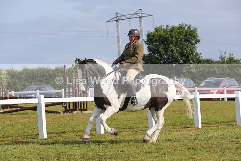 1X9A3298 - Class 28: Ridden Native/Trad Coloured Pony