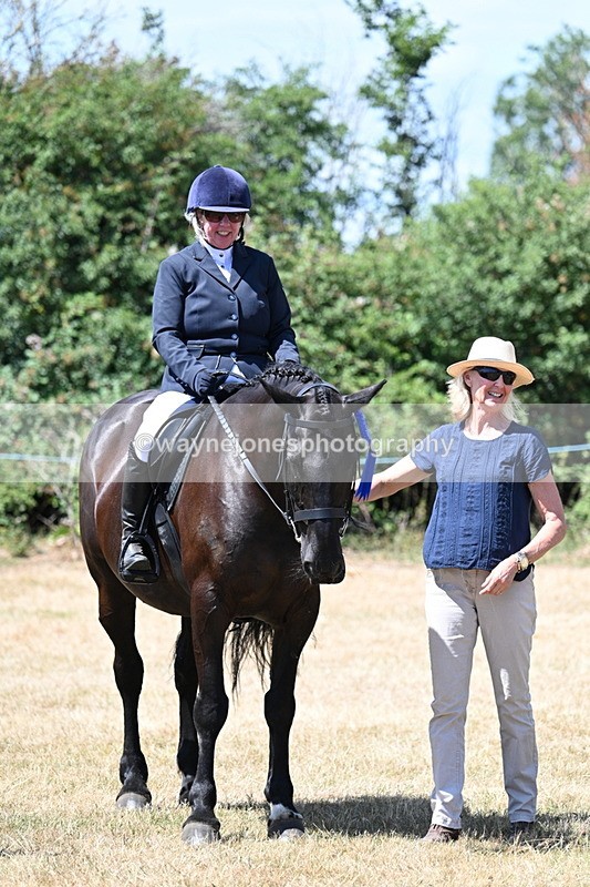 WJ7_3186 - Class 7 Riding Club Show Horse