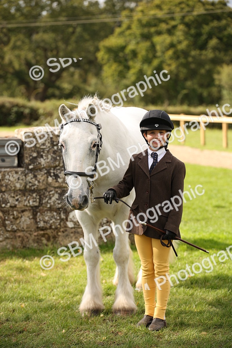 SBM_46411 - S25 - Mature Veteran In Hand