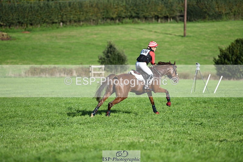 251024A-143550-13465 - C-206-Madison.Tapner