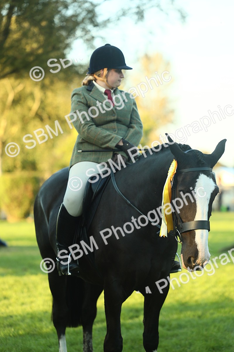 SBM_56553 - S14 - Riding Club Horse